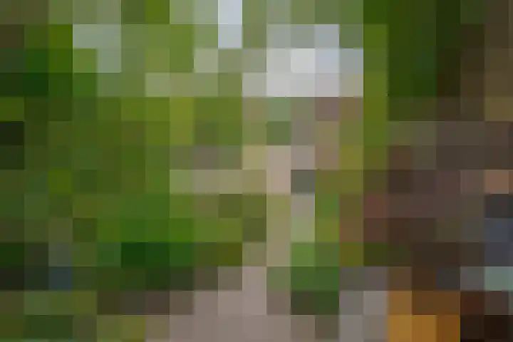 Zichtheugte 31 Assen thumbnail 20