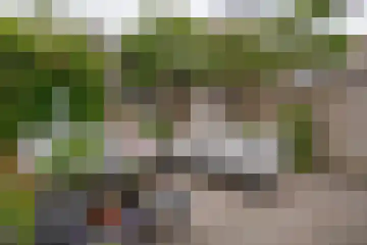 Zichtheugte 31 Assen thumbnail 21