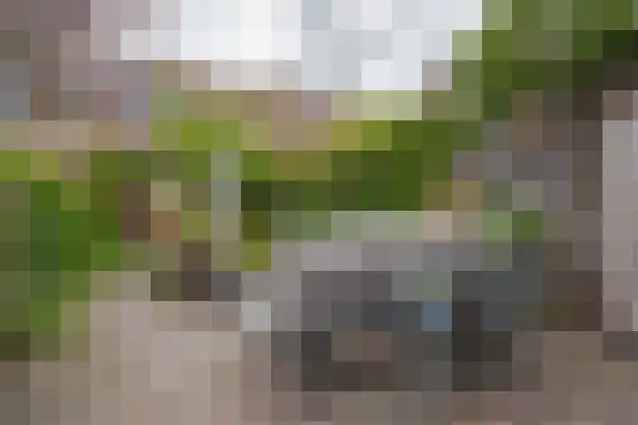 Zichtheugte 31 Assen thumbnail 22