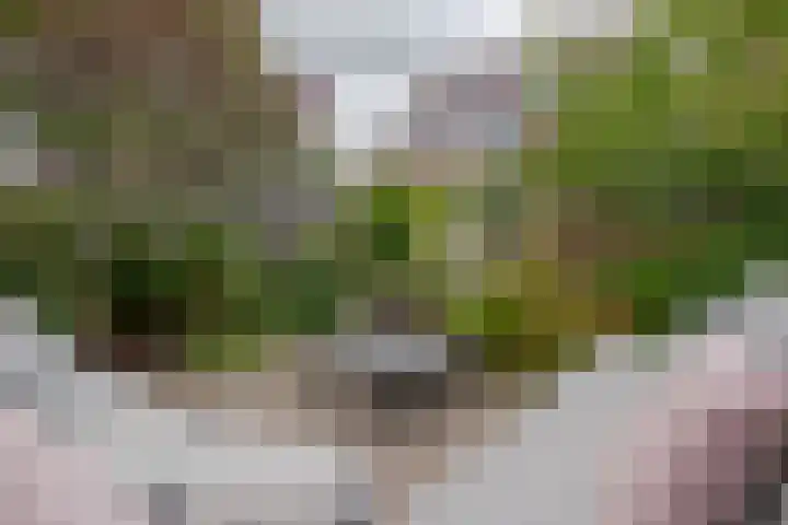 Zichtheugte 31 Assen thumbnail 23