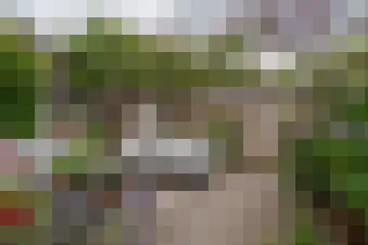 Zichtheugte 31 Assen thumbnail 24