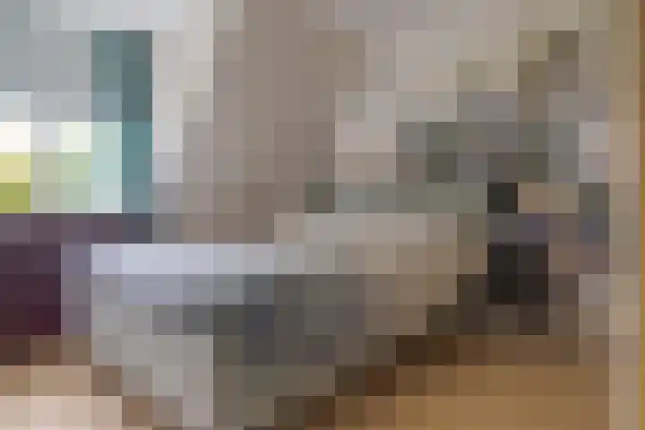 Zichtheugte 31 Assen thumbnail 26