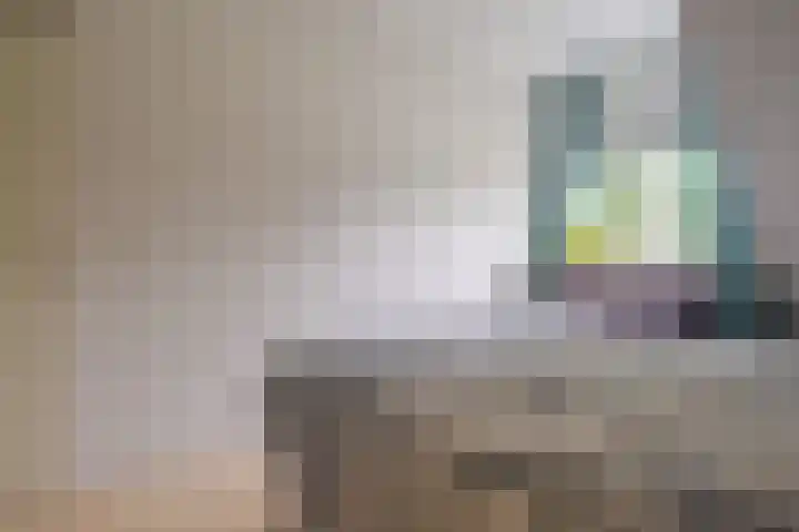 Zichtheugte 31 Assen thumbnail 27