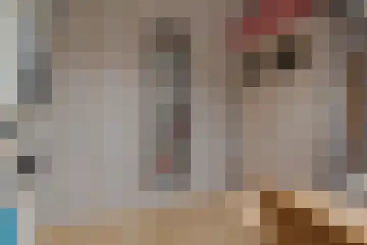 Zichtheugte 31 Assen thumbnail 31
