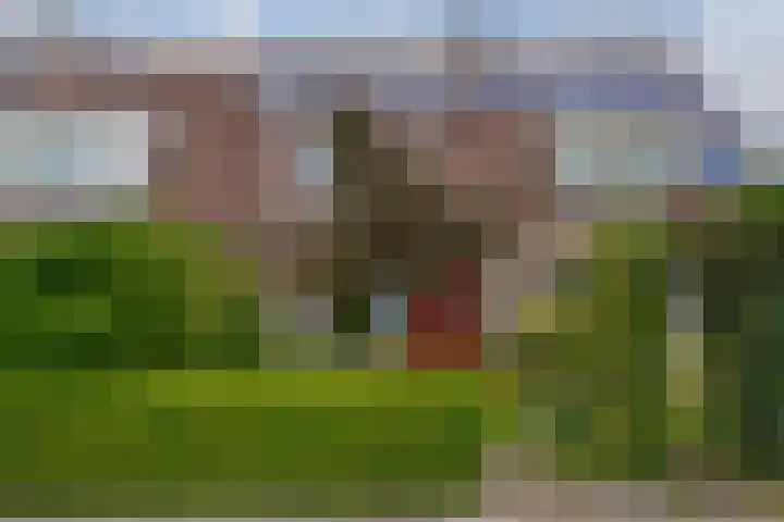 Zichtheugte 31 Assen thumbnail 35