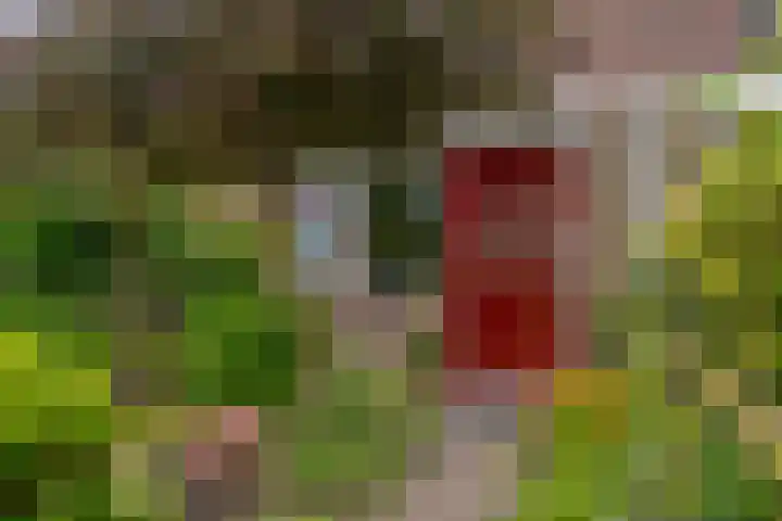Zichtheugte 31 Assen thumbnail 4