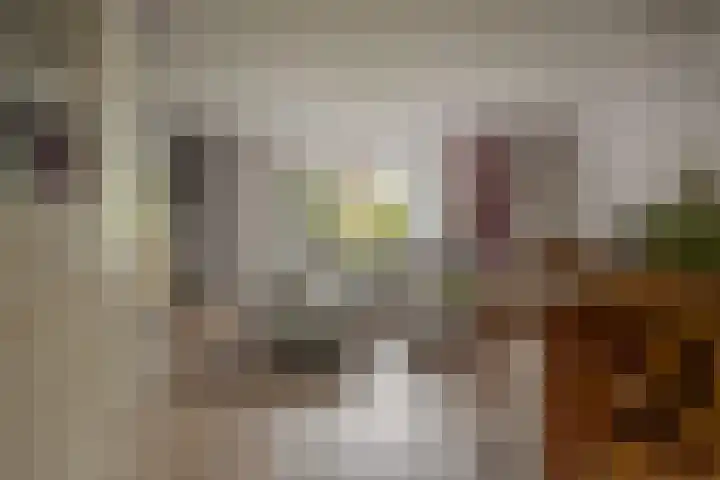 Zichtheugte 31 Assen thumbnail 7