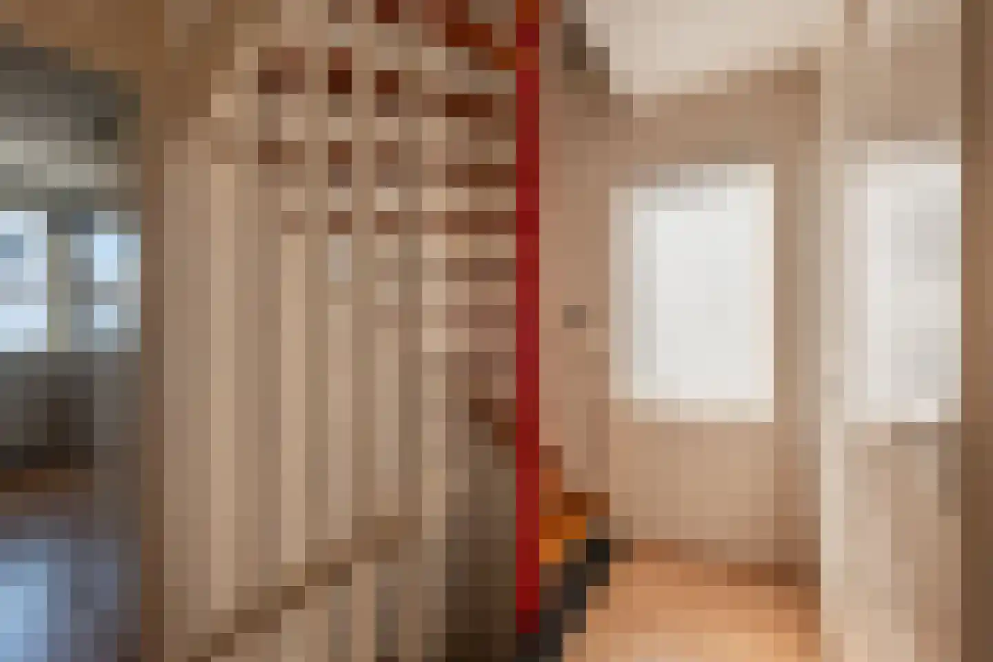 Zichtheugte 36 Assen thumbnail 17