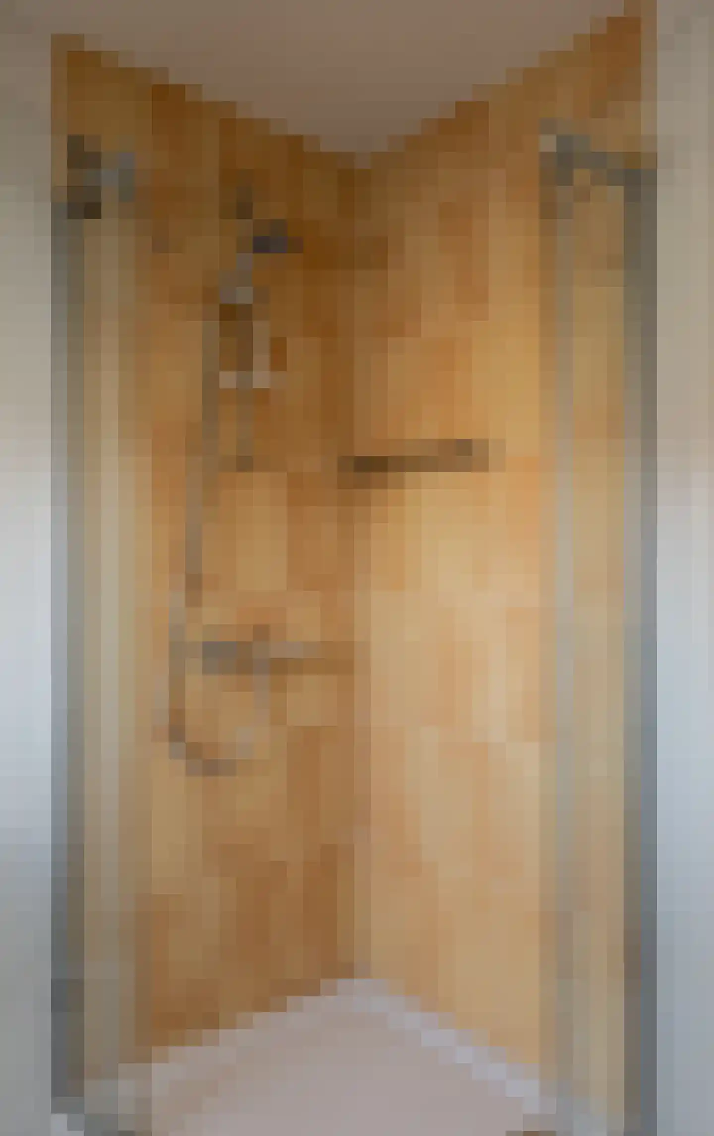 Zichtheugte 36 Assen thumbnail 20