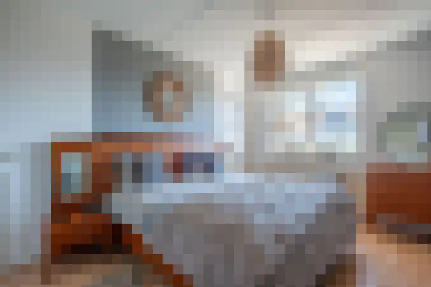 Zichtheugte 36 Assen thumbnail 21