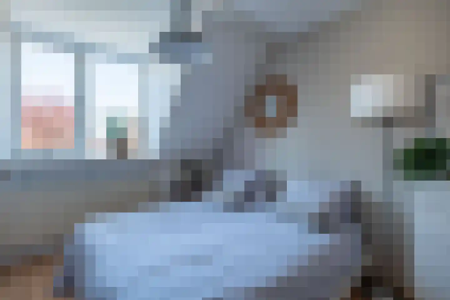 Zichtheugte 36 Assen thumbnail 22