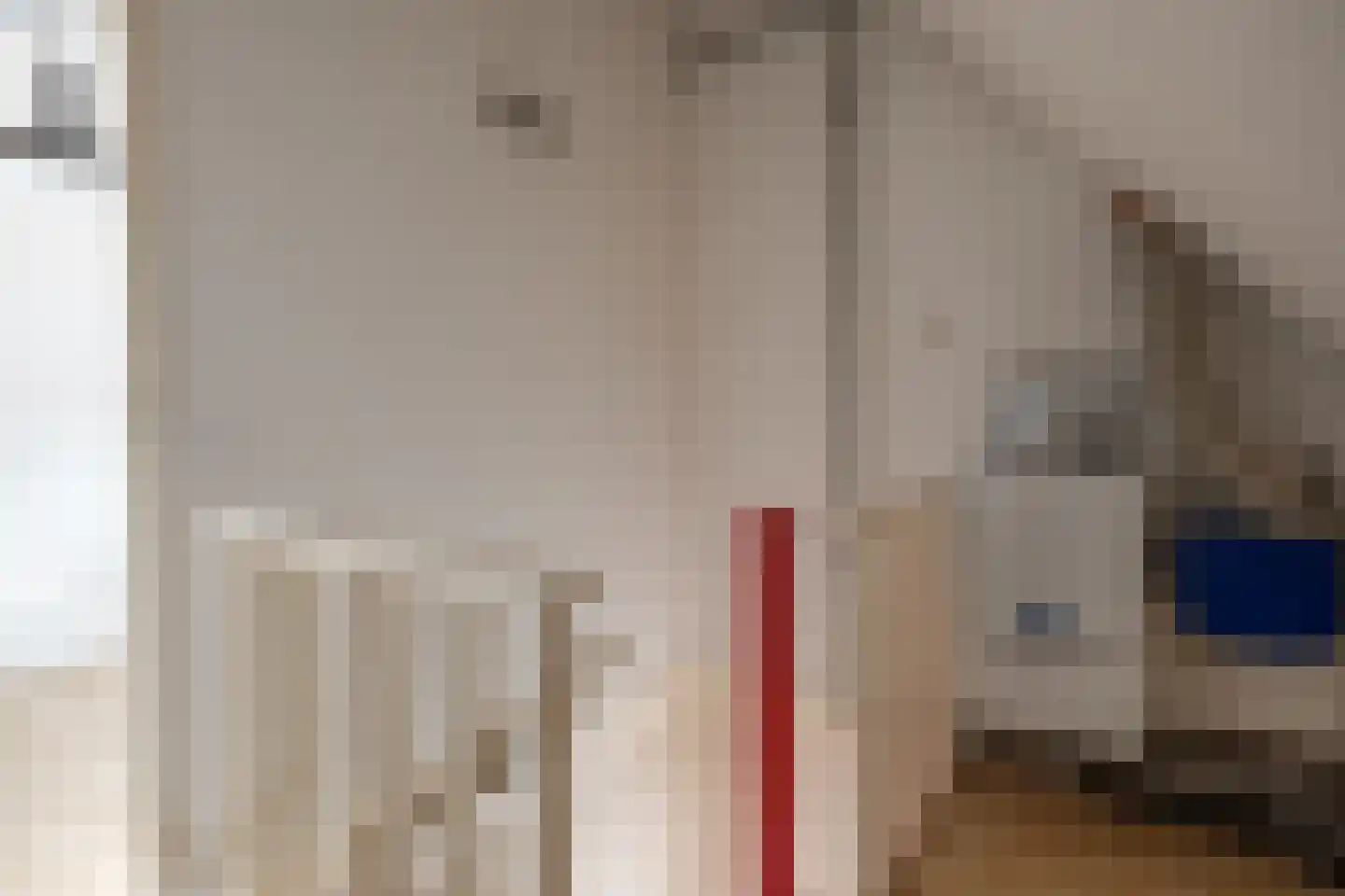 Zichtheugte 36 Assen thumbnail 24