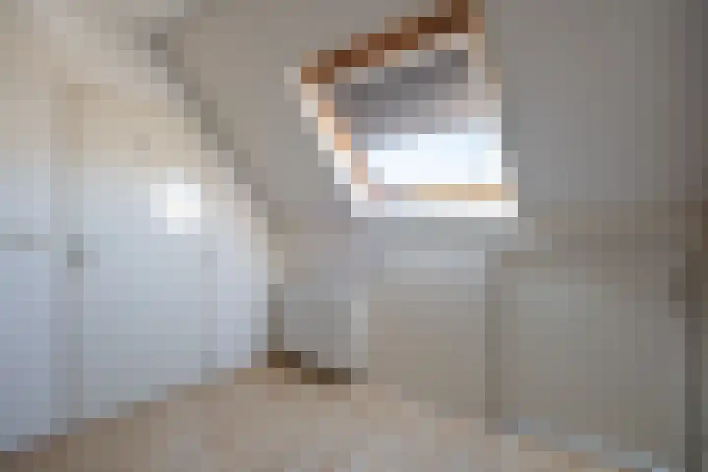 Zichtheugte 36 Assen thumbnail 26