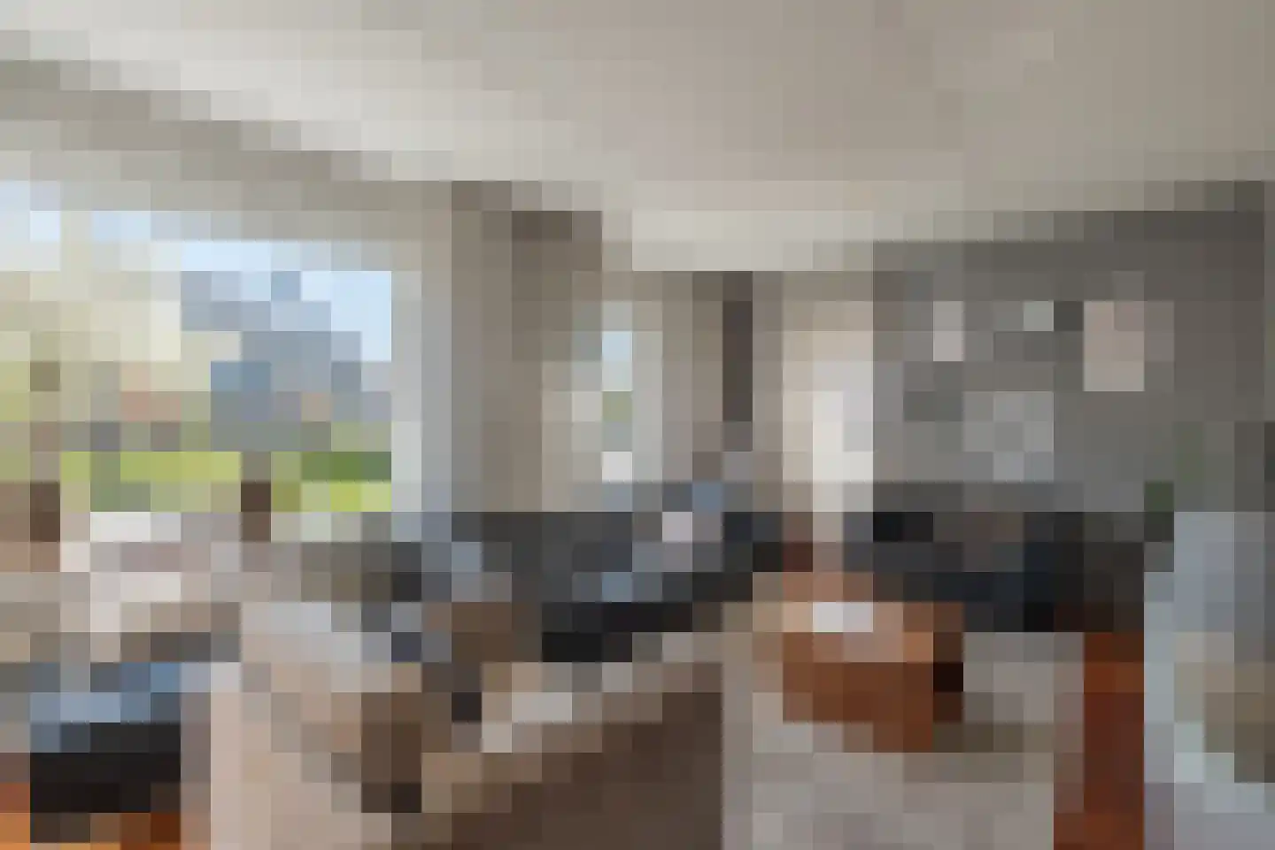 Zichtheugte 36 Assen thumbnail 4