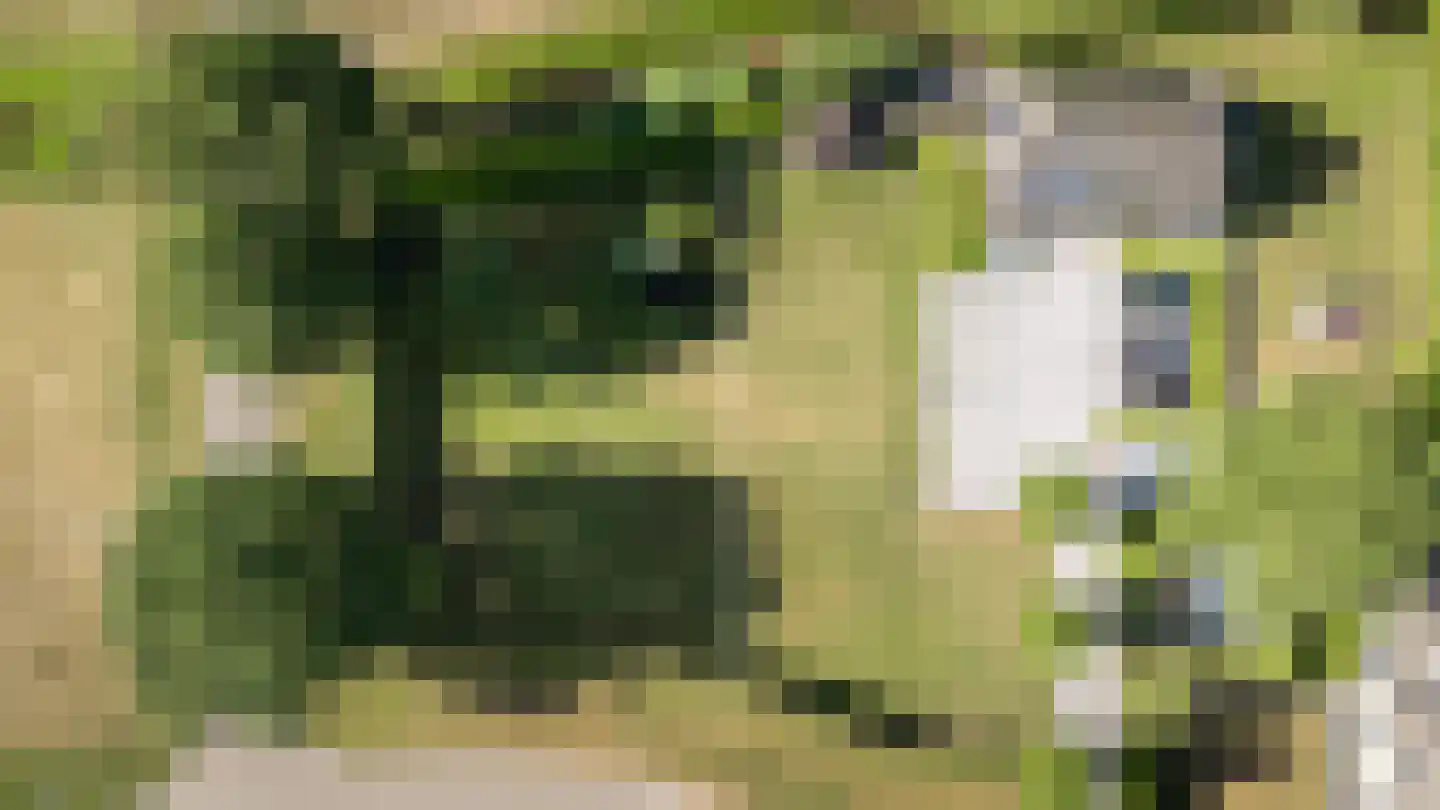 Zichtstede 14 Vaassen thumbnail 5