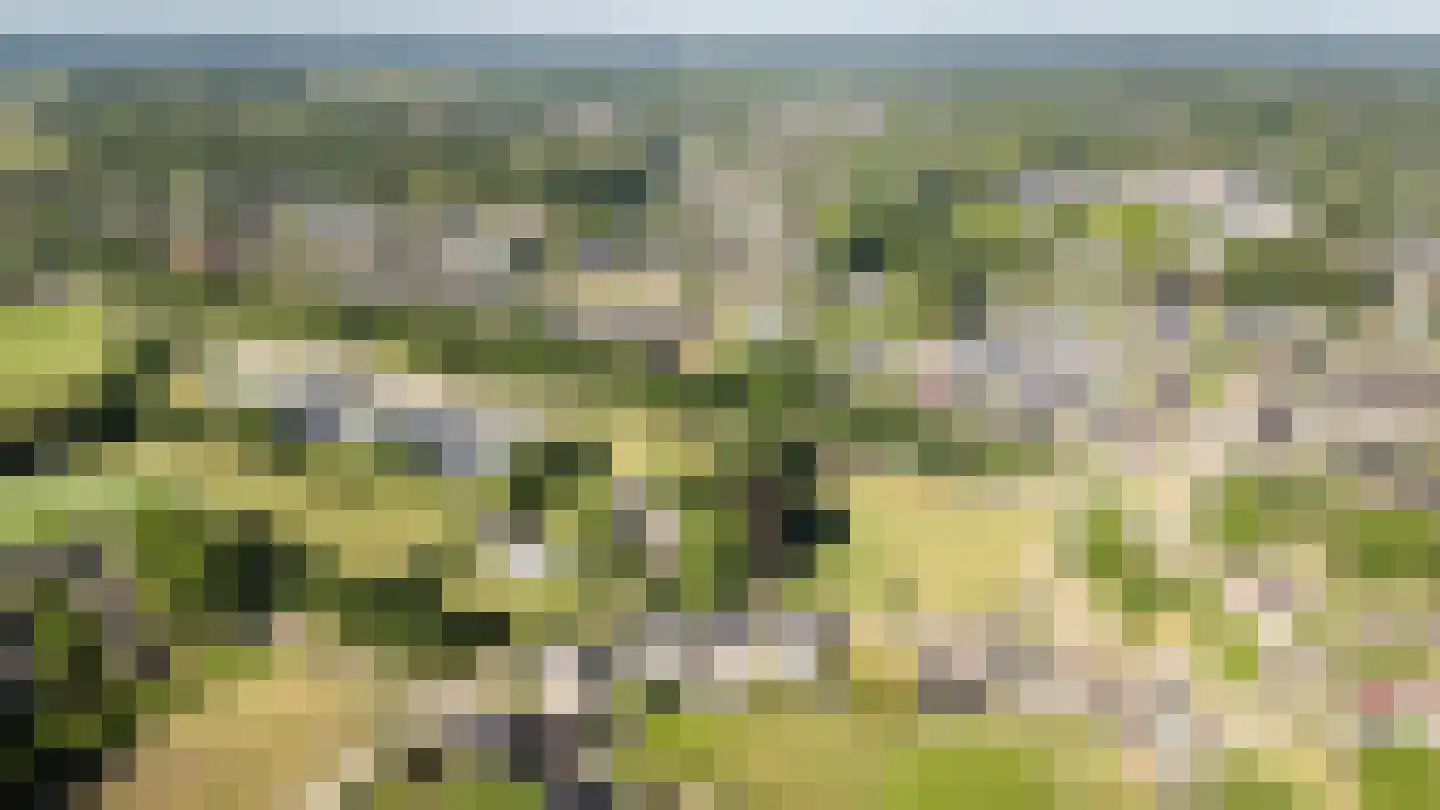 Zichtstede 14 Vaassen thumbnail 6