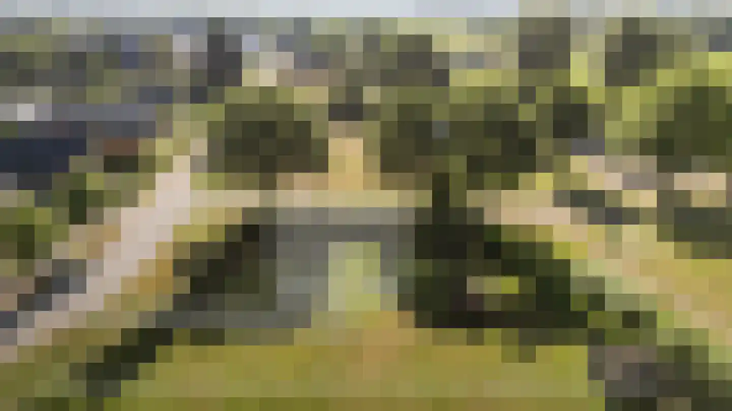 Zichtstede 14 Vaassen thumbnail 7