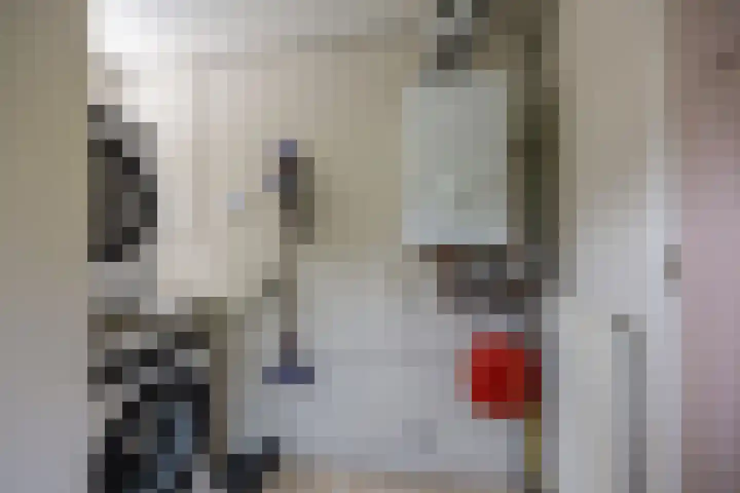 Zichtstraat 3 Nijmegen thumbnail 34