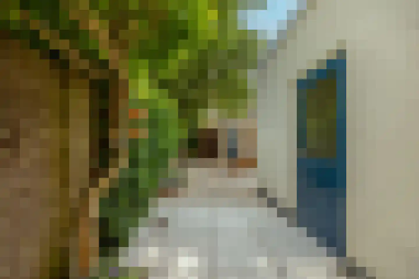 Zichtstraat 3 Nijmegen thumbnail 37