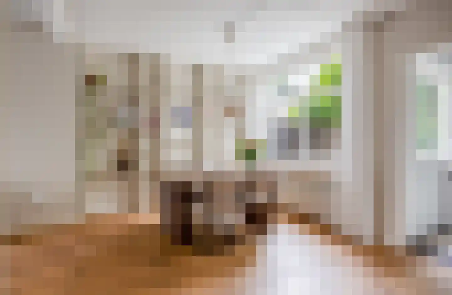Zichtstraat 3 Nijmegen thumbnail 8