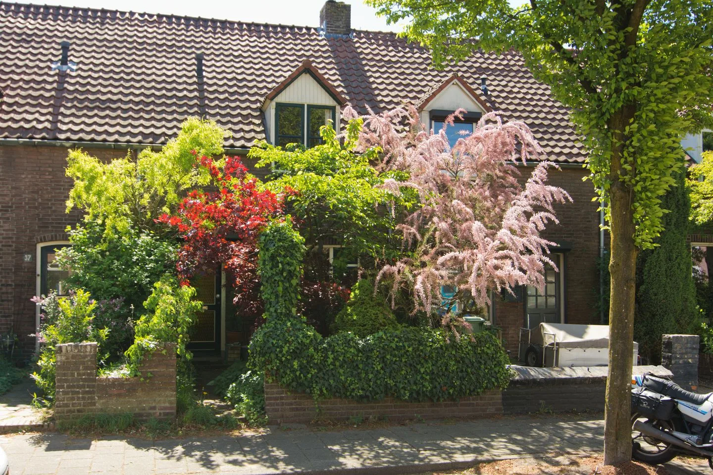Zichtstraat 39 Nijmegen