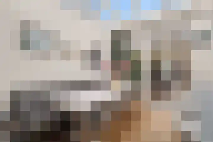 Zichtveld 14 Houten thumbnail 12