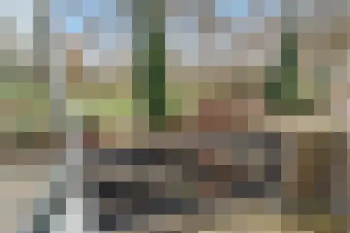 Zichtveld 14 Houten thumbnail 23