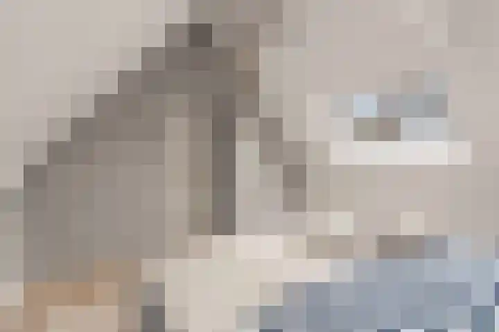 Zichtveld 14 Houten thumbnail 30