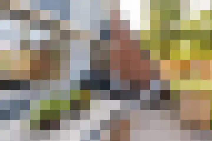 Zichtweg 183 Nieuw-Vennep thumbnail 29