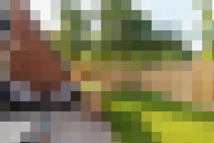 Zichtweg 183 Nieuw-Vennep thumbnail 31
