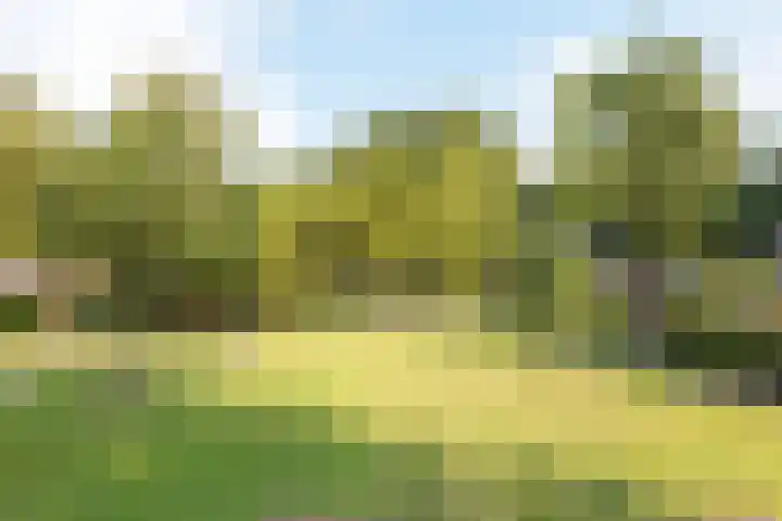 Zichtweg 183 Nieuw-Vennep thumbnail 32