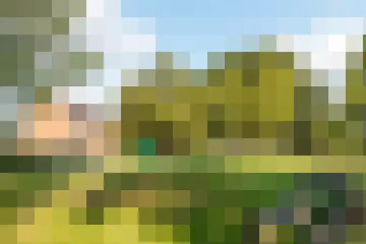 Zichtweg 183 Nieuw-Vennep thumbnail 33