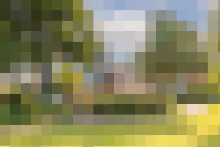 Zichtweg 183 Nieuw-Vennep thumbnail 34
