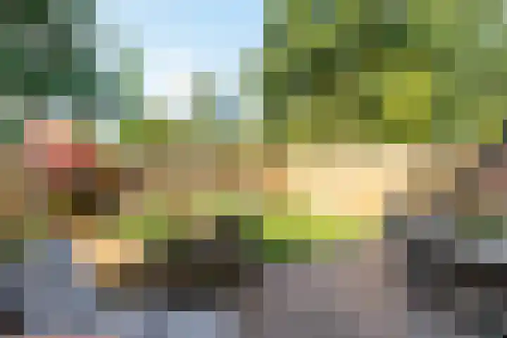Zichtweg 183 Nieuw-Vennep thumbnail 6