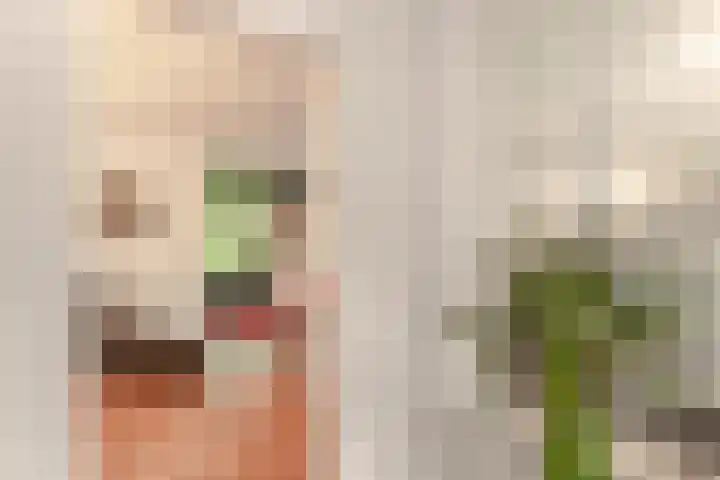Zichtweg 37 Nieuw-Vennep thumbnail 12