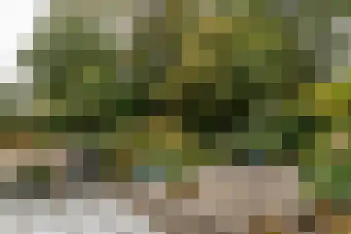Zichtweg 37 Nieuw-Vennep thumbnail 22