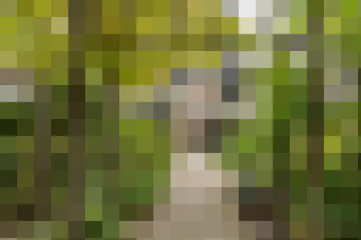Zichtweg 37 Nieuw-Vennep thumbnail 24