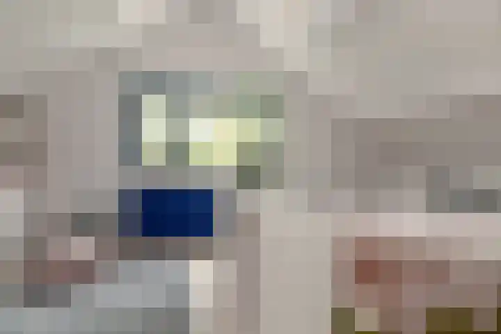 Zichtweg 37 Nieuw-Vennep thumbnail 45