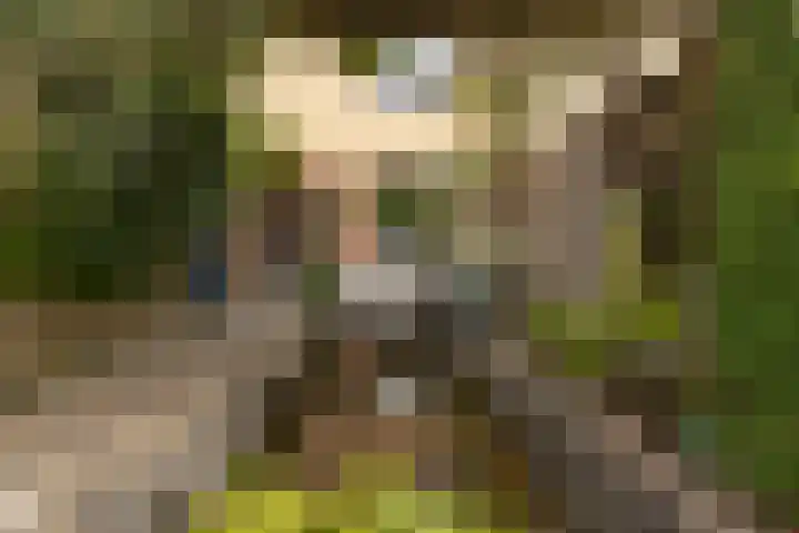 Zichtweg 37 Nieuw-Vennep thumbnail 6