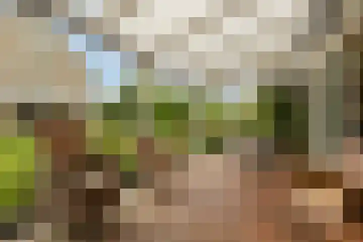 Zichtweg 52 Nieuw-Vennep thumbnail 21