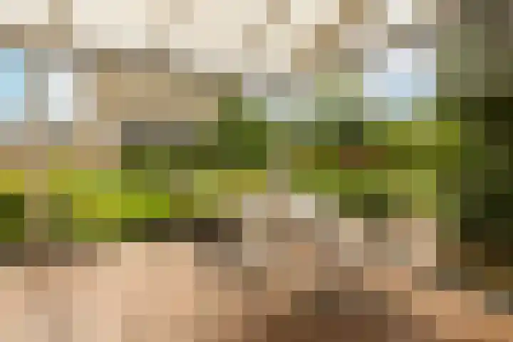 Zichtweg 52 Nieuw-Vennep thumbnail 25