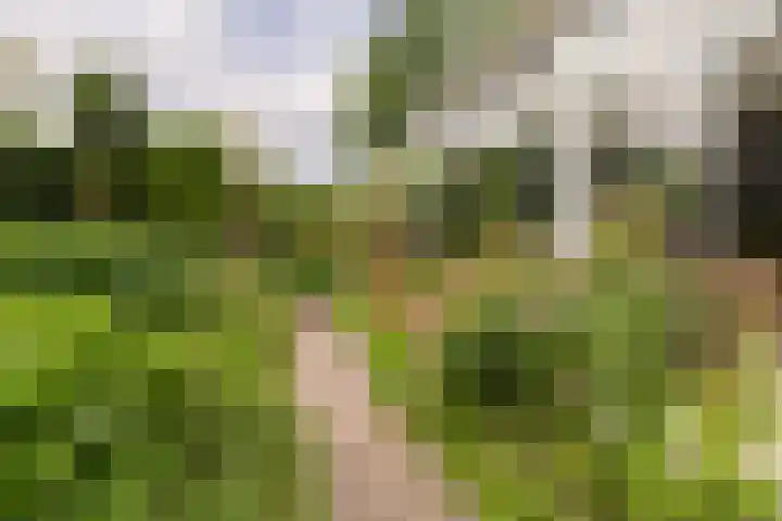 Zichtweg 52 Nieuw-Vennep thumbnail 47