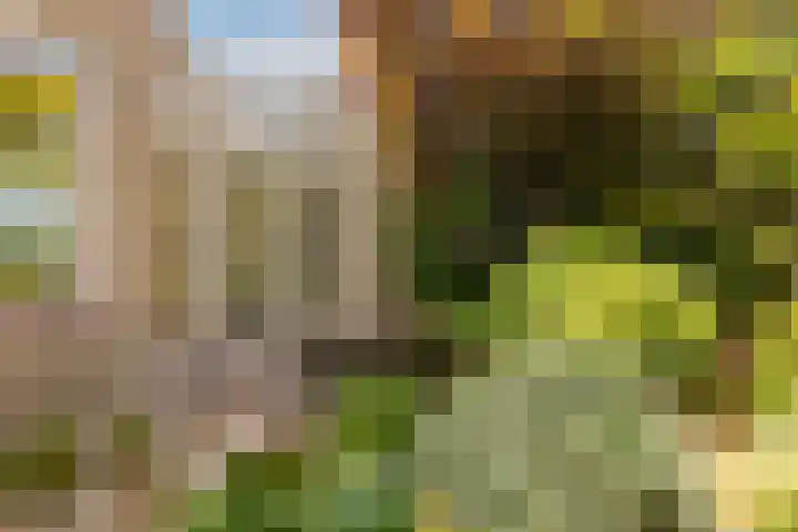 Zichtweg 52 Nieuw-Vennep thumbnail 57