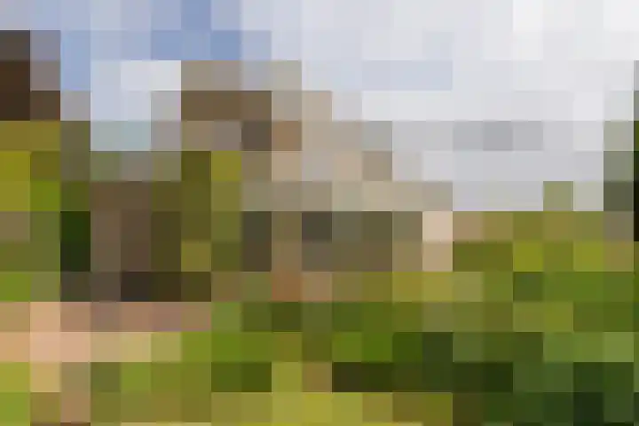 Zichtweg 52 Nieuw-Vennep thumbnail 68