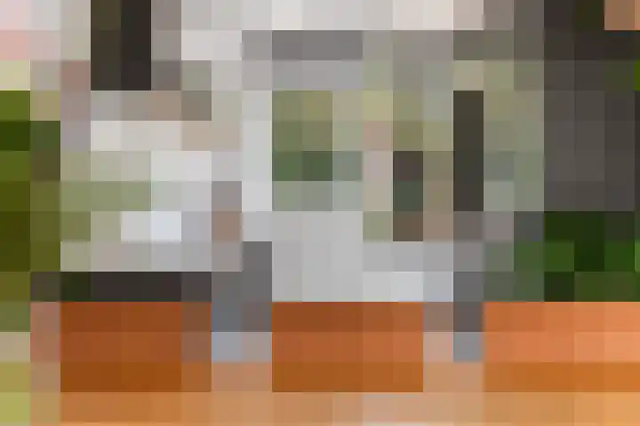 Zichtweg 57 Apeldoorn thumbnail 16