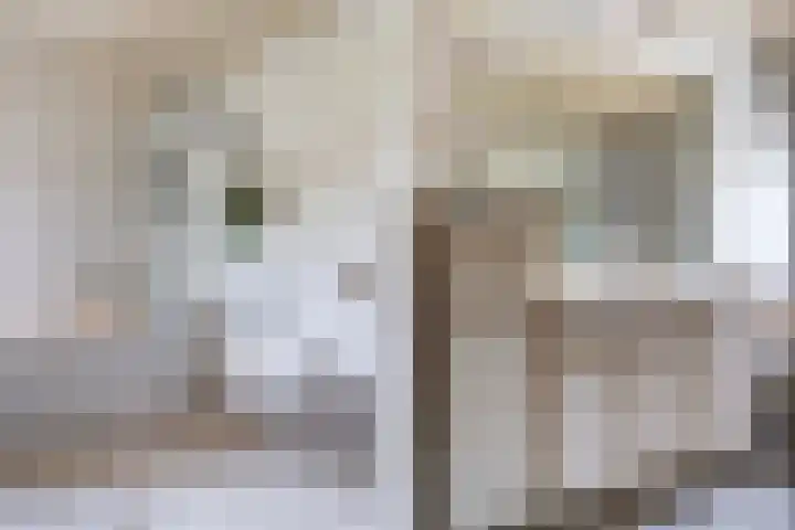 Zichtweg 57 Apeldoorn thumbnail 30