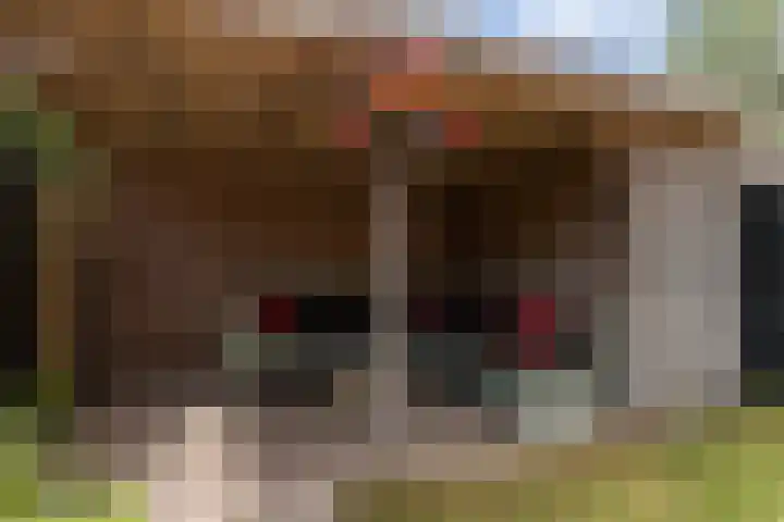 Zichtweg 57 Apeldoorn thumbnail 38