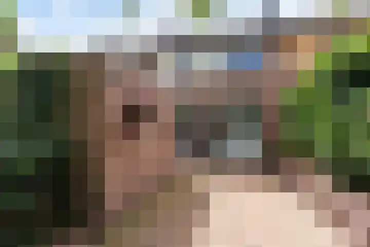 Zichtweg 57 Apeldoorn thumbnail 39