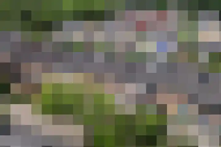 Zichtweg 57 Apeldoorn thumbnail 4