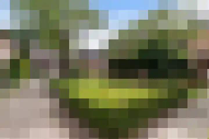 Zichtweg 57 Apeldoorn thumbnail 41